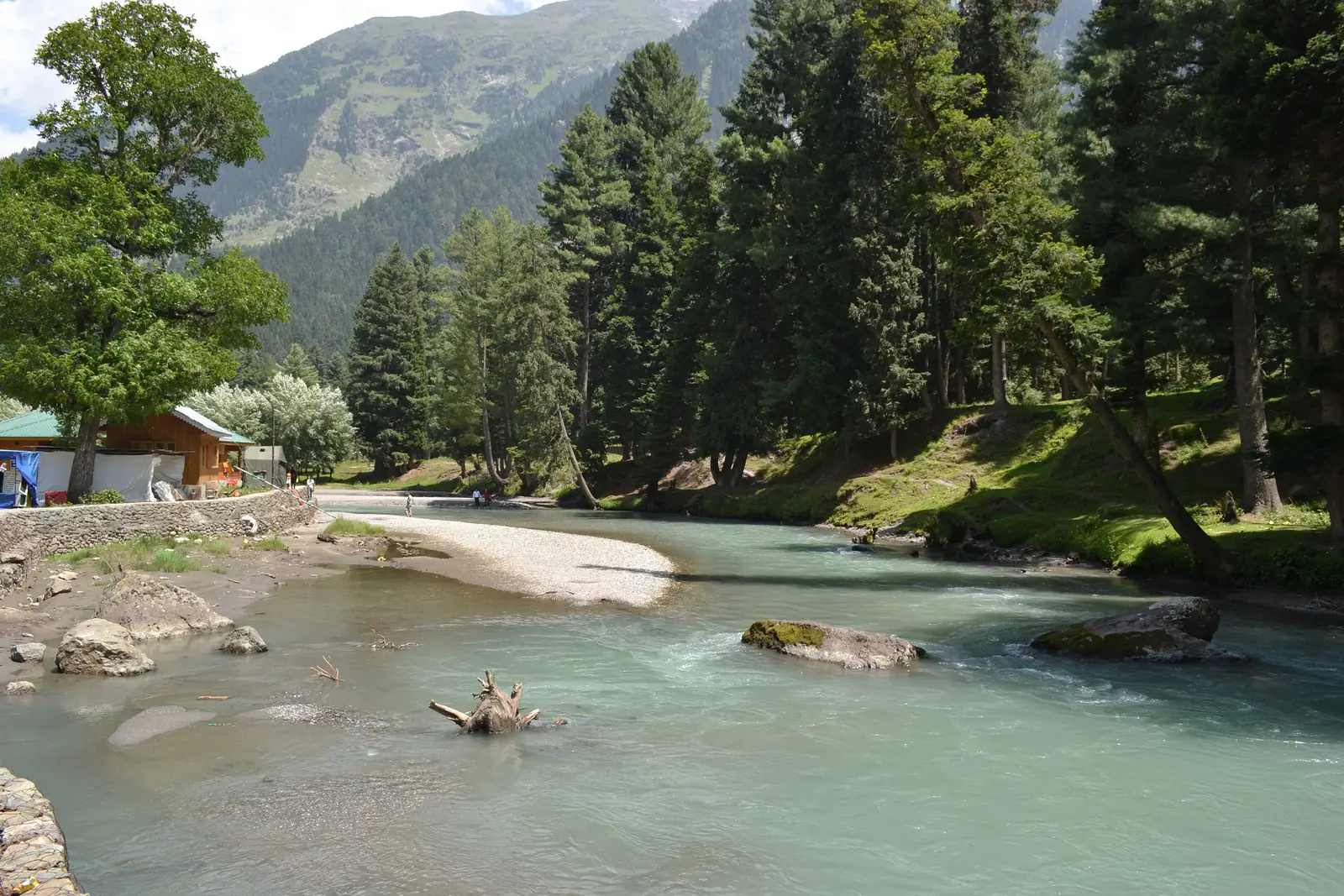 The clear Lidder river running through pine forest in Betaab Valley