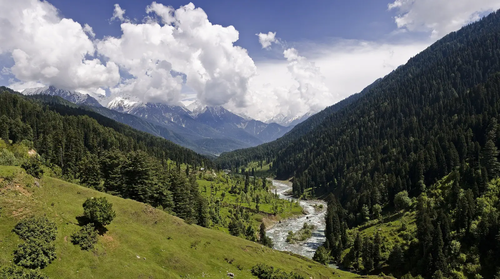 The Lidder river winding through the forested Pahalgam valley
